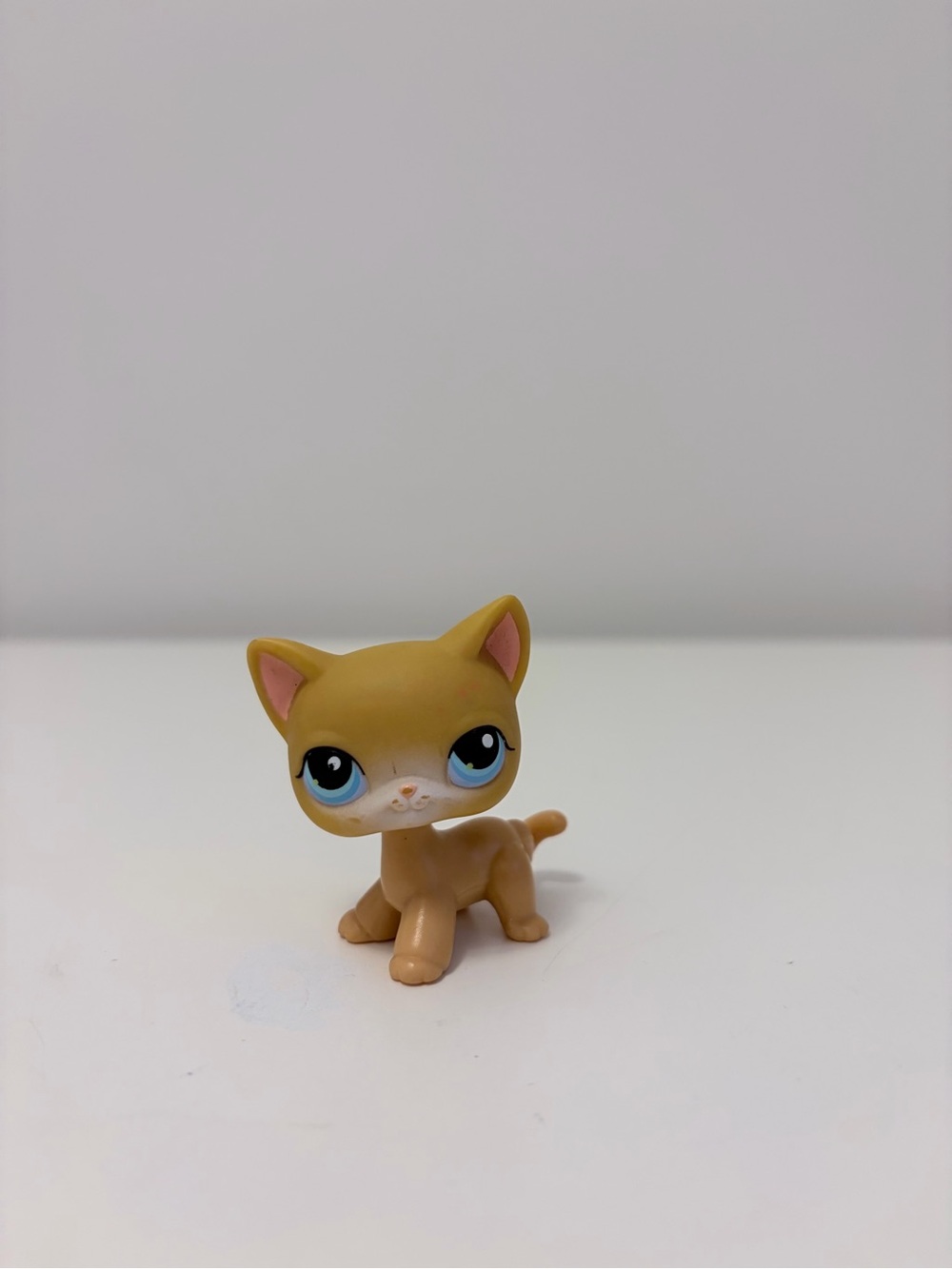 Littlest Pet Shop Cat Figure #71